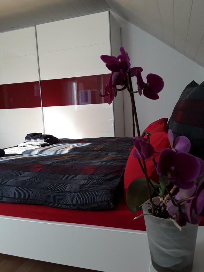 Ferienwohnung Wagner ツヴァイブリュッケン エクステリア 写真
